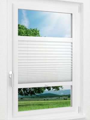 Preview LYSEL HOME Plissee 205A Krepp 1