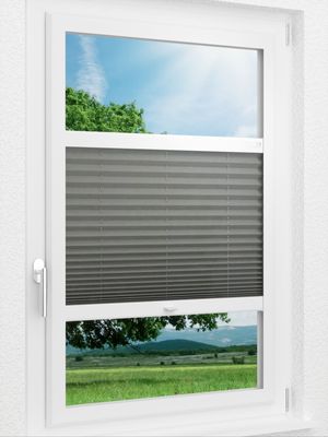 Preview LYSEL HOME Plissee 109A Crush 1