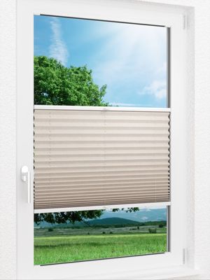 LYSEL HOME Plissee 224A Torpo BO Fensteransicht