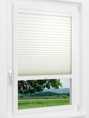 LYSEL HOME Plissee 307A Dorswin Smart Frame Fensteransicht