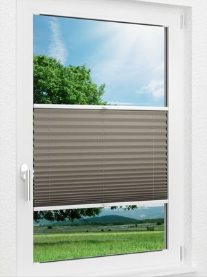 LYSEL HOME Plissee 308A Dorswin Fensteransicht