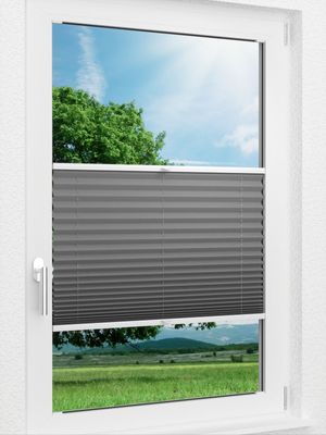 LYSEL HOME Plissee 309A Dorswin Fensteransicht