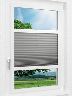 Preview LYSEL HOME Plissee 309A Dorswin 1