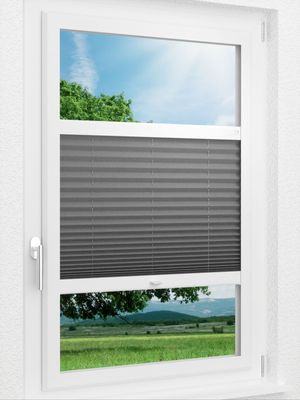 Preview LYSEL HOME Plissee 302A Dorswin 1