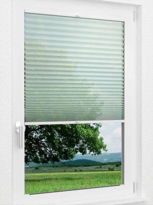 Preview LYSEL HOME Plissee 423A Vesta 1