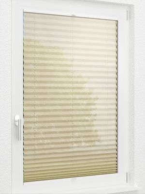 Preview LYSEL HOME Plissee 319A Vesta 2