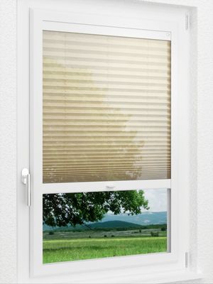 Preview LYSEL HOME Plissee 319A Vesta 1