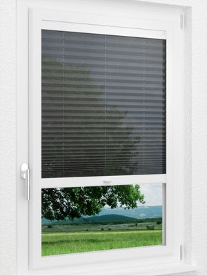 Preview LYSEL HOME Plissee 321A Vesta 1