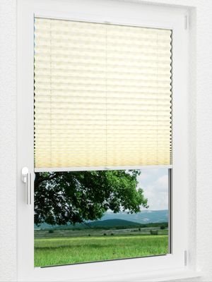 Preview LYSEL HOME Plissee 340A Sarthe 1