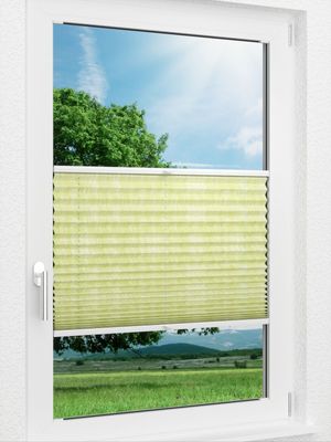 LYSEL HOME Plissee 417A Athena Fensteransicht