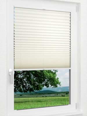 Preview LYSEL HOME Plissee 317A Demetria 1