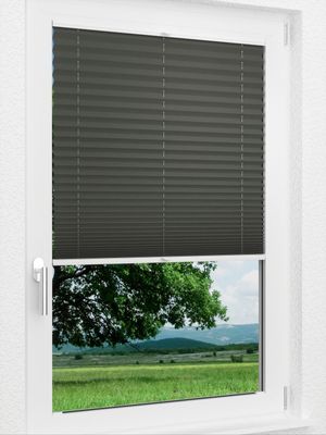 Preview LYSEL HOME Plissee 202B Krepp BO 1