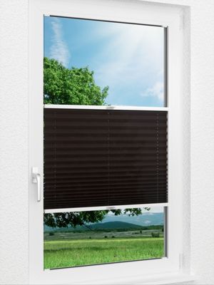 Plissee Basic B1 01.06.10 Fensteransicht