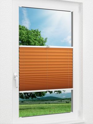 Plissee Basic B1 02.01.10 Fensteransicht