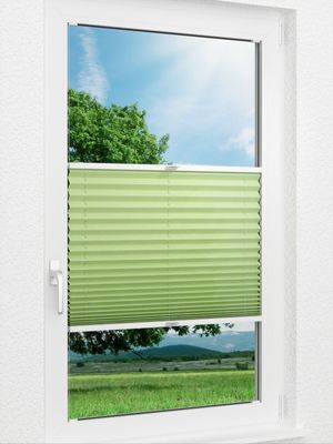 Plissee Basic B1 02.06.10 Fensteransicht