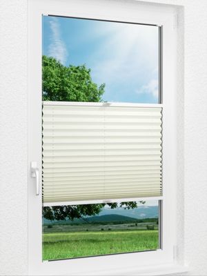 Plissee Basic B1 02.08.10 Fensteransicht