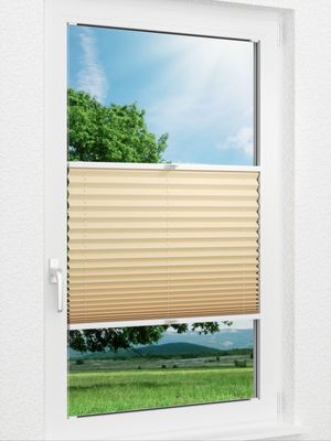 Plissee Basic B1 03.02.10 Fensteransicht