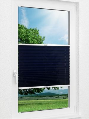 Plissee Basic B1 04.02.10 Fensteransicht