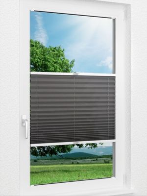 Plissee Basic B1 04.06.10 Fensteransicht