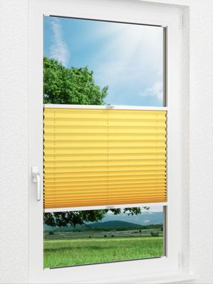 Plissee Crush 19.05.12 Fensteransicht
