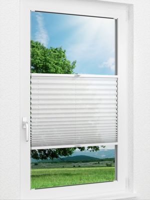 Plissee Artemis B1 50.28.12 Fensteransicht