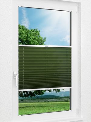 Plissee Cabur 94.53.11 Fensteransicht