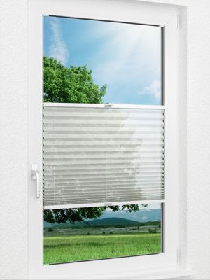 Plissee Cento 31.05.12 Fensteransicht