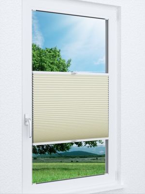 Wabe Sarnia 70.12.12 Fensteransicht