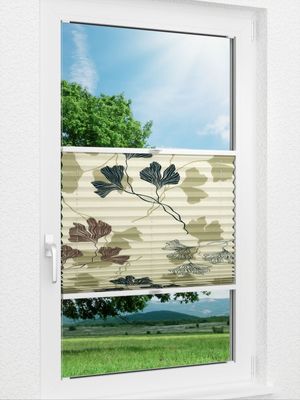 Ginkgo Blackout 50.21.14 Fensteransicht