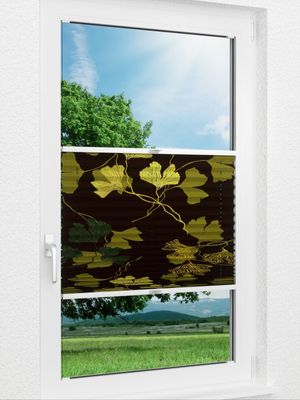 Ginkgo Blackout 50.20.14 Fensteransicht