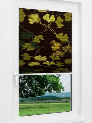 Preview Ginkgo Blackout 50.20.14 1