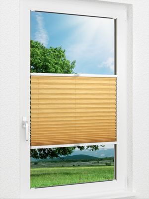 Structure Effective 86.56.12 Fensteransicht