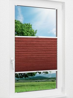 Structure Effective 86.55.12 Fensteransicht