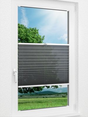 Preview Plissee Gentle 20.05.12 0