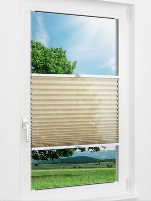 Plissee Hestia 62.53.12 Fensteransicht