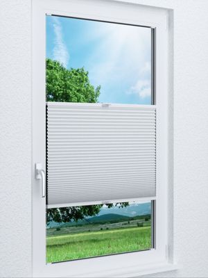 Wabe Milton 36.01.11 Fensteransicht