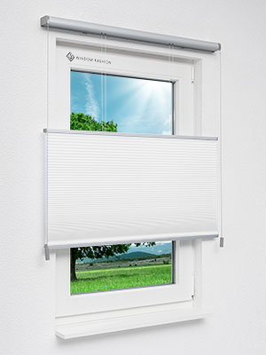 Wabe Milton 36.01.11 Fensteransicht