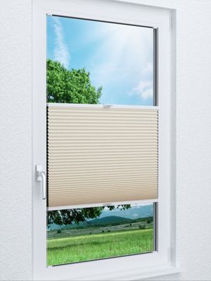 Wabe Milton 36.02.11 Fensteransicht