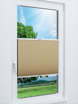 Wabe Milton 36.03.11 Fensteransicht