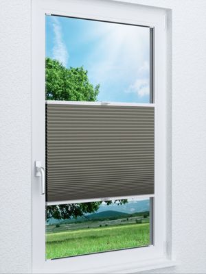 Wabe Milton 36.04.11 Fensteransicht