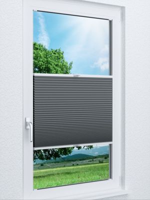 Wabe Milton 36.05.11 Fensteransicht