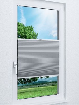 Wabe Milton 36.07.11 Fensteransicht