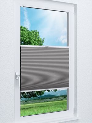 Wabe Milton 36.08.11 Fensteransicht