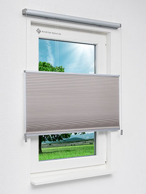 Wabe Milton 36.08.11 Fensteransicht