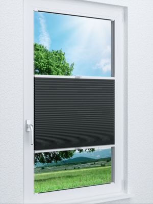 Wabe Milton 36.09.11 Fensteransicht