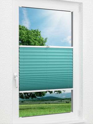 Plissee Basic B1 03.09.11 Fensteransicht
