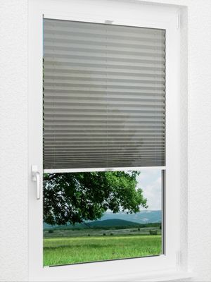 Preview Plissee Nexus 34.07.13 1