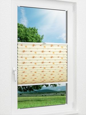 Plissee Tasty Fruits 62.56.13 Fensteransicht