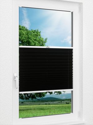 Plissee Basic Comfort 01.59.12 Fensteransicht