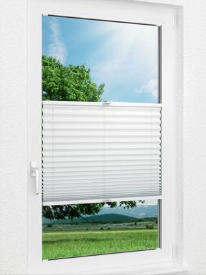 Plissee Basic Comfort 01.61.12 Fensteransicht